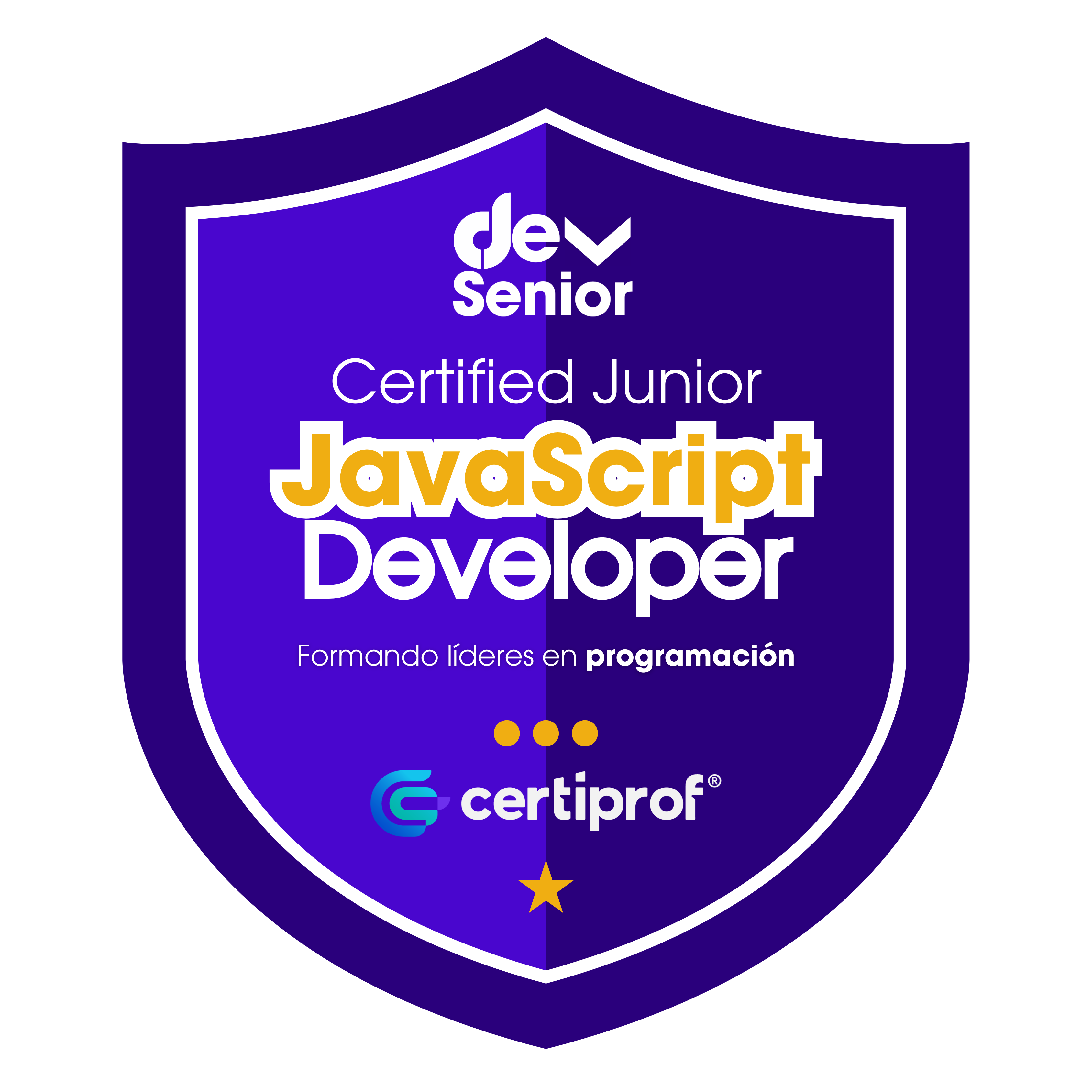 Insignia JavaScript Junior Developer